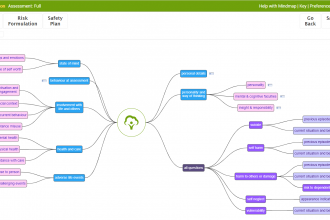 GRiST mental health decision support system
